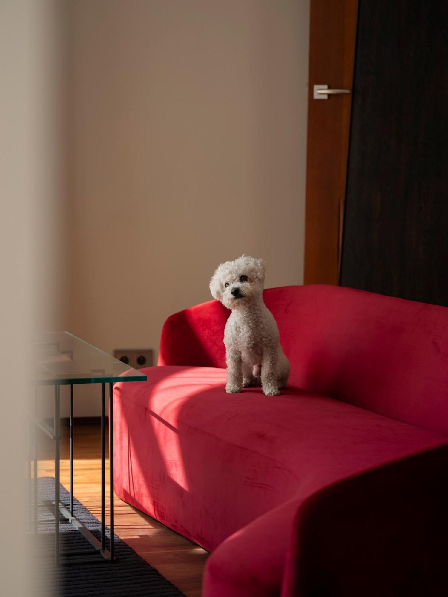 Hotel Monopol Wrocław Kültér fotó A Bolognese
